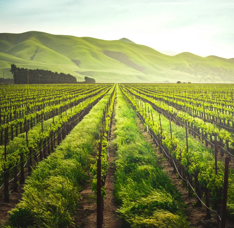 Agriculture